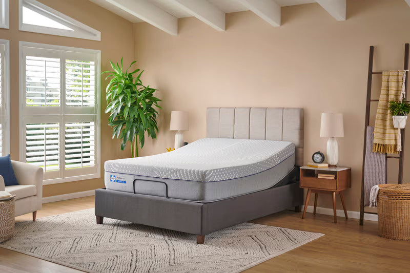 Sleep & Bedding