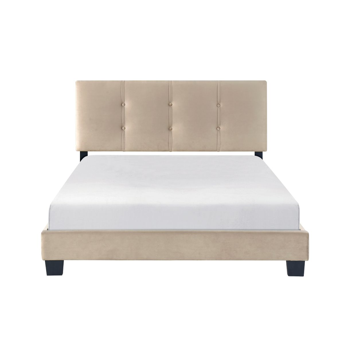 Newberry - Platform Bed