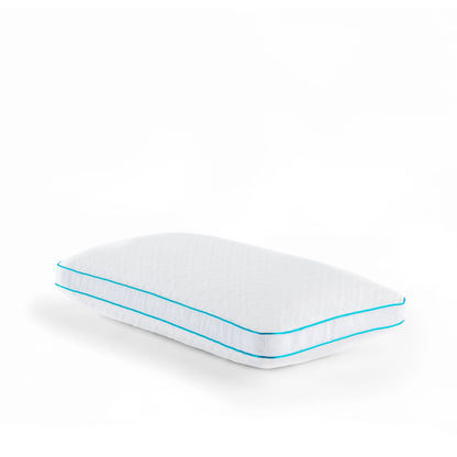 Malouf - Foam & Fiber Pillow With PE Cover