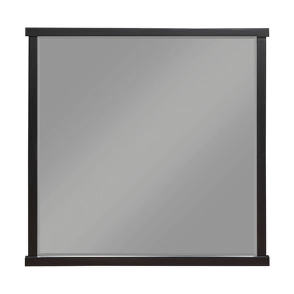 Acworth - Mirror - Brown / Black